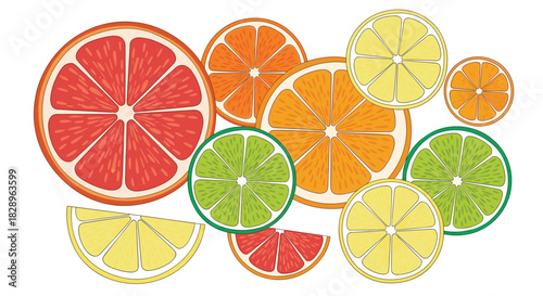 A vibrant assortment of colorful citrus fruit slices including orange lemon lime and grapefruit isolated on a white background.