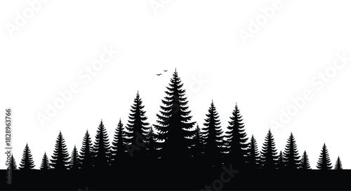 A black silhouette of a dense coniferous forest with tall pine and fir trees against a clean white background.