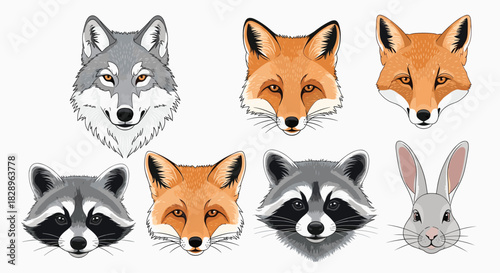 Collection of detailed forest animal head portraits including a wolf foxes raccoons and a rabbit isolated on a plain background.