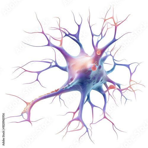 3D neuron illustration showing detailed structure and connections of neural cells in the brain