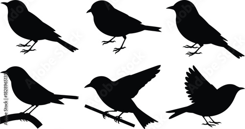 A visually striking pattern featuring six distinct black bird profiles arranged on a clear white canvas