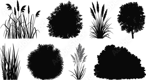 Architectural Landscape Plants Silhouette Vector, Set of Bushes, Grasses, and Trees for Garden Design and Map