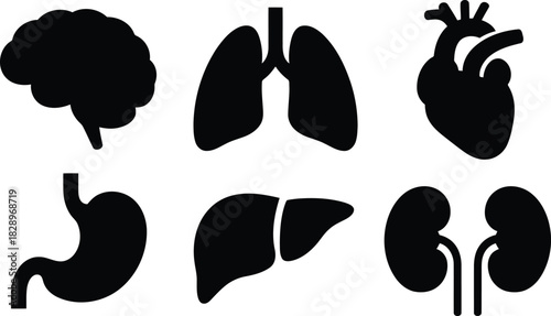 Black silhouettes of various vital human internal organs displayed on a clear white scientific background