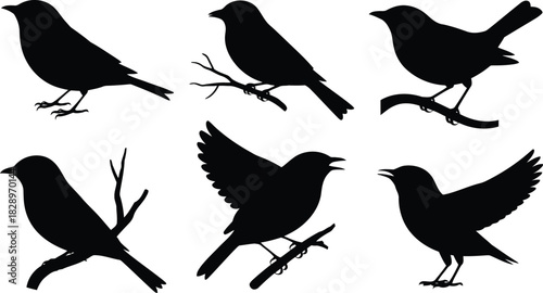Collection of six distinct black bird silhouettes on a clean white background, some with wings spread