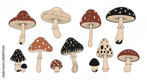 Collection of various whimsical and retro-style mushrooms in earthy tones with different shapes and spots on a white background.