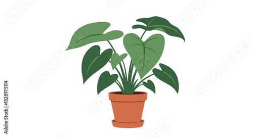 A lush green monstera houseplant with large leaves sits in a simple terracotta pot as a beautiful piece of home interior decor.