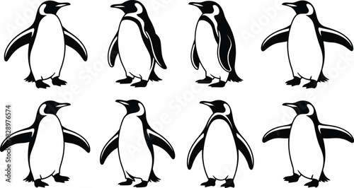 Group of eight graceful black and white penguin outlines presented on a pure white backdrop