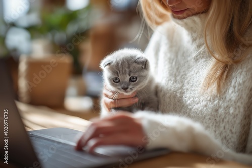 Woman Holding a Scottish Fold Kitten While Using a Laptop for Vet Advice