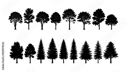 Vector illustration of collection of various tree silhouettes, including deciduous and coniferous types, isolated on transparent background