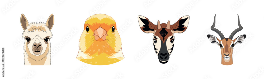 Naklejka premium Alpaca, chick, okapi, and gazelle illustrated animal portraits