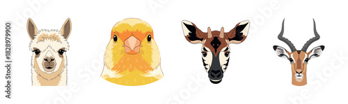 Alpaca, chick, okapi, and gazelle illustrated animal portraits