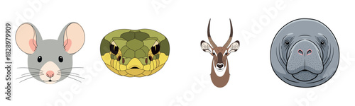 Illustrated animal faces: mouse, snake, antelope, manatee