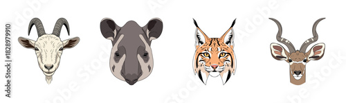 Illustrated animal faces: goat, tapir, lynx, kudu portraits