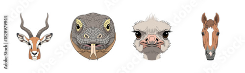 Illustrated animal faces: gazelle, snake, ostrich, and horse portraits