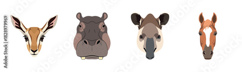 Animal faces illustration featuring gazelle, hippo, tapir, and horse