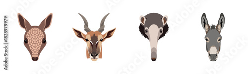 Animal portraits: armadillo, antelope, anteater, donkey on white background