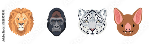 Lion, gorilla, snow leopard, bat - animal portraits headshots