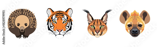 Cartoon animal heads: echidna, tiger, caracal, hyena illustrations