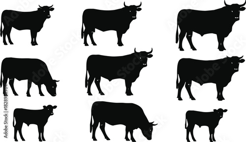 Set of Nine Different Cattle Silhouettes, Bull, Cow, and Calf Icons, Farm Animals, Livestock, Beef and Dairy Agriculture, Black and White Vector Graphic.