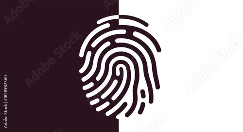 Yin and Yang Fingerprint Identity Balancing Security and Privacy with Fingerprint Identification
