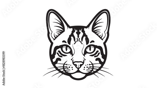 A detailed black and white illustration of a cat's face, showcasing its expressive eyes and patterned fur
