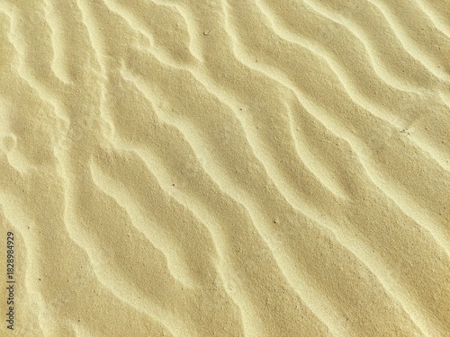 background of sand shaped by the wind