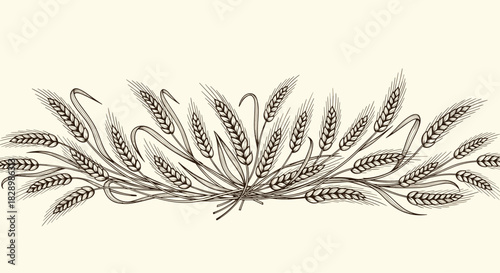 A beautiful vintage border design of wheat ears in a detailed hand-drawn engraving style on a light background for bakery.