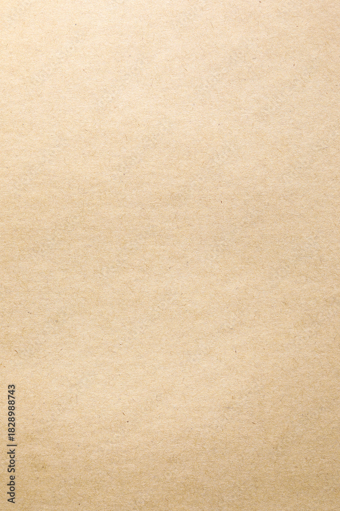 Fototapeta premium Vertical wallpaper kraft paper surface texture