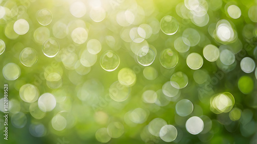 green bokeh background