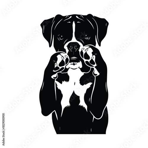 Monochrome graphic illustration of a playful boxer dog with paws raised up Vector, illustration
