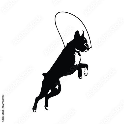 Energetic boxer dog jumping rope silhouette exercise fitness activity Vector, illustration