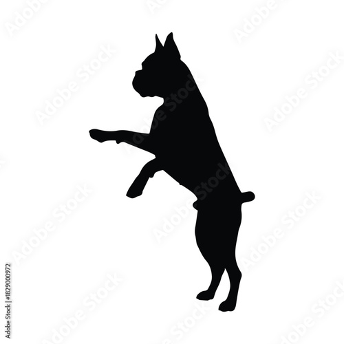 Boxer dog silhouette standing on hind legs with front paws raised, isolated Vector, illustration