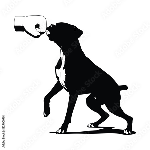 Boxer dog silhouette confronting a white boxing glove in a stylized graphic Vector, illustration