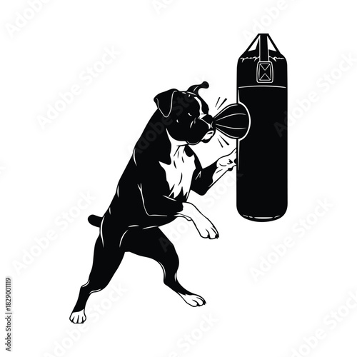 Boxer dog training with punching bag, strong animal fitness illustration Vector, illustration