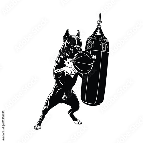 Powerful pitbull dog boxing speed bag training, strong canine athlete design Vector, illustration