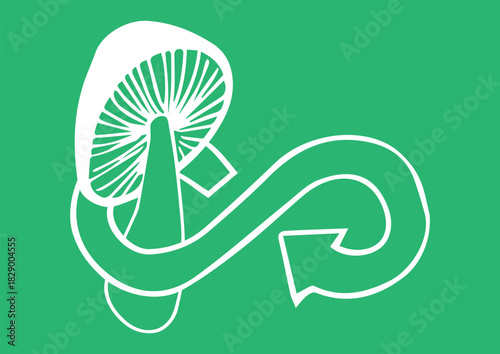 Handmade Circular Economy with Mushroom Harvest Agriculture