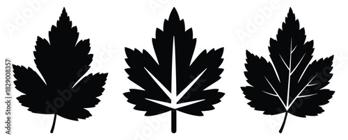 frost leaf silhouette icon set. christmas silhouette icons collection with solid styles.
