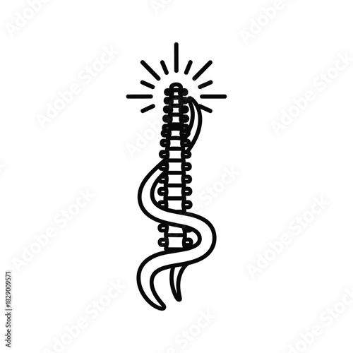 Chiropractic spine and snake symbol with light, isolated on white background
