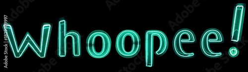 Whoopee! neon lights