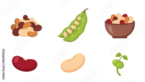 Diverse beans and legume assortment, fresh and healthy food ingredients for cooking needs