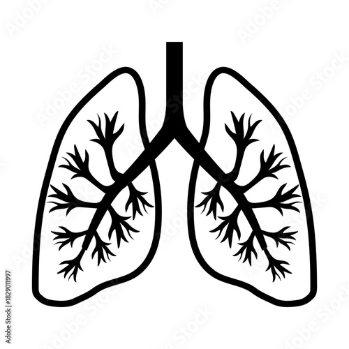 Lungs