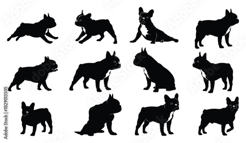French bulldog silhouettes vector illustration set in various poses Vector