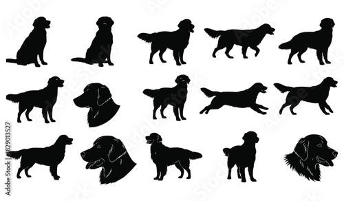 Golden retriever dog silhouettes set: various poses, actions, isolated Vector