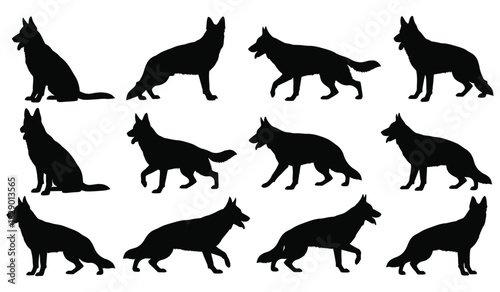 German shepherd dog silhouettes in various poses on white background Vector