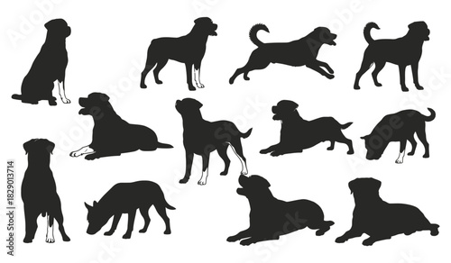 Dog silhouettes in various dynamic poses and actions set vector Vector