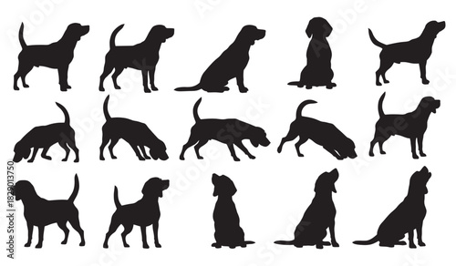 Beagle dog silhouettes in various positions and actions. vector set. Vector