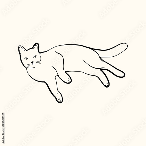 Whimsical doodle cat pose vector illustration. Cute kitten, hand drawn linear cat in different poses sitting, lying down, sleeping