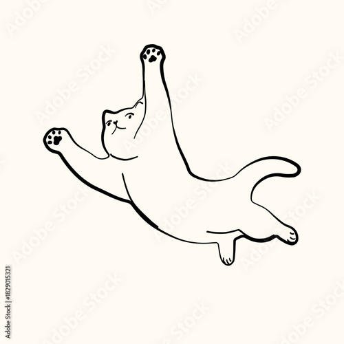 Whimsical doodle cat pose vector illustration. Cute kitten, hand drawn linear cat in different poses playing and jumping