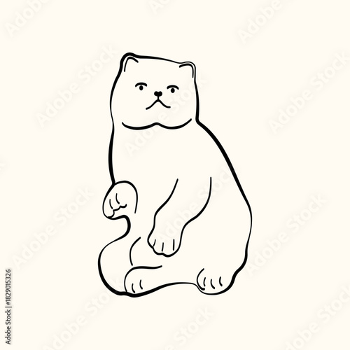 Whimsical doodle cat pose vector illustration. Cute kitten, hand drawn linear cat in different poses sitting, lying down, sleeping
