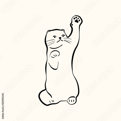 Whimsical doodle cat pose vector illustration. Cute kitten, hand drawn linear cat in different poses sitting, lying down, sleeping